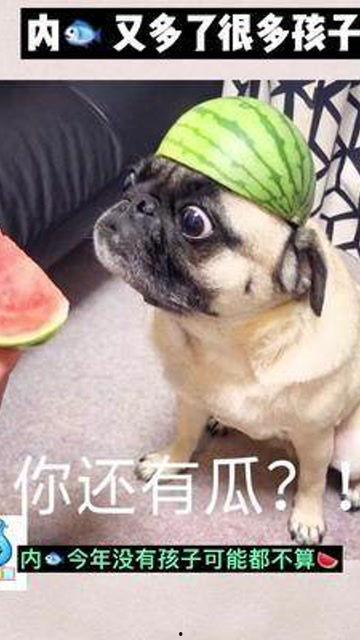 娱乐是一个圈吃瓜,一场永不落幕的“吃瓜”盛宴 第3张 娱乐是一个圈吃瓜,一场永不落幕的“吃瓜”盛宴 第3张
