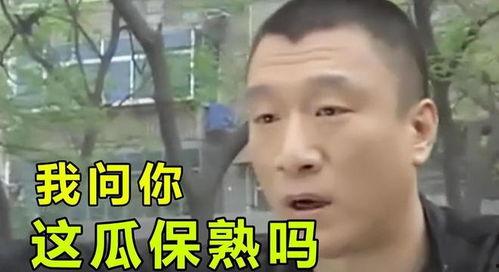 娱乐圈陶虹吃瓜,娱乐圈吃瓜趣事多 第3张 娱乐圈陶虹吃瓜,娱乐圈吃瓜趣事多 第3张