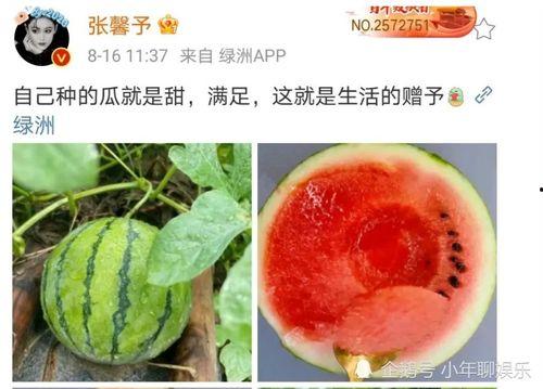 娱乐吃瓜新鲜事,明星动态、情感纠葛、事件反转,揭秘幕后真相! 第1张 娱乐吃瓜新鲜事,明星动态、情感纠葛、事件反转,揭秘幕后真相! 第1张