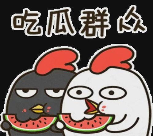 逗尔娱乐吃瓜看点在哪里,揭秘热门吃瓜看点，畅享娱乐资讯盛宴”