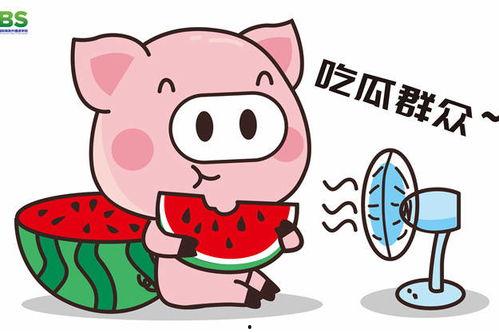 娱乐吃瓜酱蠢人,吃瓜酱蠢人生，揭秘娱乐圈不为人知的幕后故事