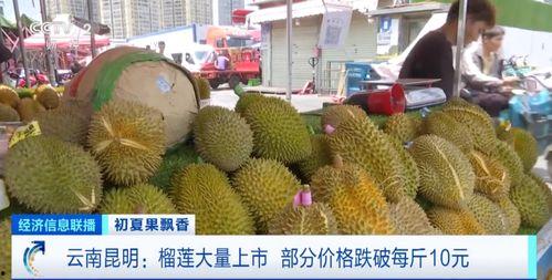 吃瓜娱乐间榴莲,美味与营养并存，吃出健康与快乐！”  第3张