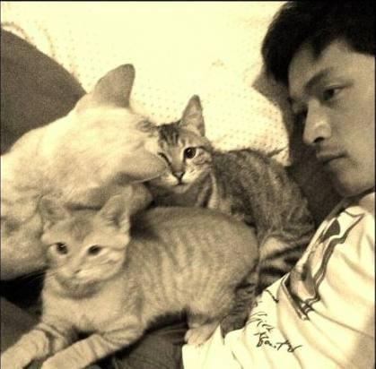 娱乐吃瓜君二豆猫,人气爆棚的网红猫咪，萌态可掬圈粉无数”