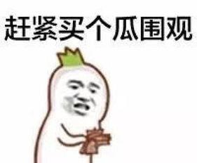 娱乐吃瓜君熊猫头,娱乐吃瓜界的潮流神器