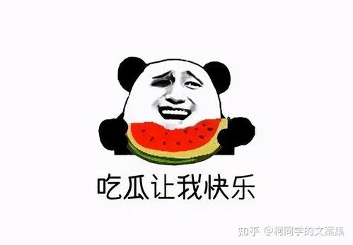 娱乐吃瓜君熊猫头,娱乐吃瓜界的潮流神器 第2张 娱乐吃瓜君熊猫头,娱乐吃瓜界的潮流神器 第2张