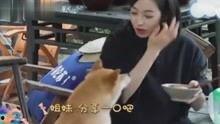 吃瓜娱乐八卦的视频,揭秘明星幕后故事，吃瓜群众必看！