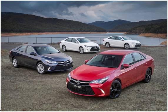 吃瓜娱乐圈camry,揭秘Camry的瓜田传奇 第3张 吃瓜娱乐圈camry,揭秘Camry的瓜田传奇 第3张
