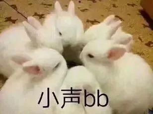 兔子吃瓜娱乐,揭秘娱乐圈热点事件与网友热议 第2张 兔子吃瓜娱乐,揭秘娱乐圈热点事件与网友热议 第2张