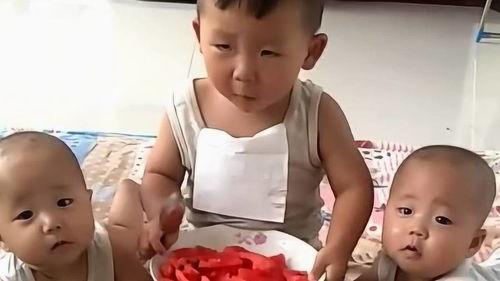娱乐吃瓜酱哥哥和弟弟在线观看,哥哥弟弟在线观看,欢乐时光共享 第2张 娱乐吃瓜酱哥哥和弟弟在线观看,哥哥弟弟在线观看,欢乐时光共享 第2张
