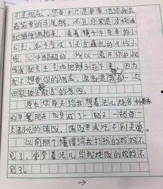 娱乐吃瓜酱小学生作文,小学生作文中的趣味与智慧 第3张 娱乐吃瓜酱小学生作文,小学生作文中的趣味与智慧 第3张