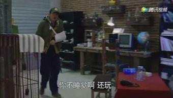 娱乐吃瓜蜀黍大学生,大学生活中的趣味点滴 第3张 娱乐吃瓜蜀黍大学生,大学生活中的趣味点滴 第3张