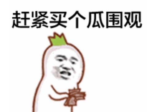 娱乐吃瓜八卦图片表情包,娱乐吃瓜表情包，轻松解读娱乐圈热点瞬间  第3张