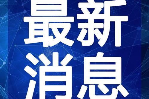 娱乐吃瓜猫咪视频大全最新,猫咪吃瓜视频大全，欢乐无限