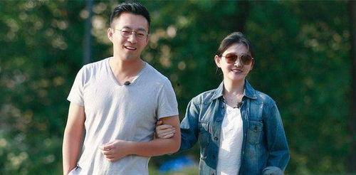 娱乐吃瓜 汪小菲小说,汪小菲的娱乐吃瓜小说