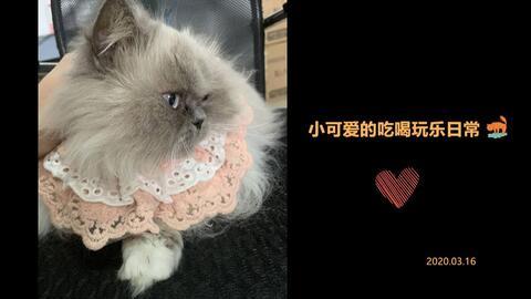 娱乐吃瓜小可爱是谁,网络红人的崛起之路 第3张 娱乐吃瓜小可爱是谁,网络红人的崛起之路 第3张