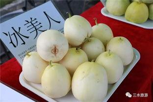 雪梨娱乐吃瓜,揭秘娱乐圈吃瓜背后的真相与内幕