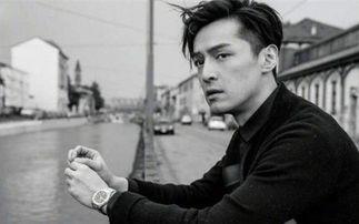 娱乐圈吃瓜爆料文件胡歌,娱乐圈风云再起，揭秘明星背后的故事  第2张