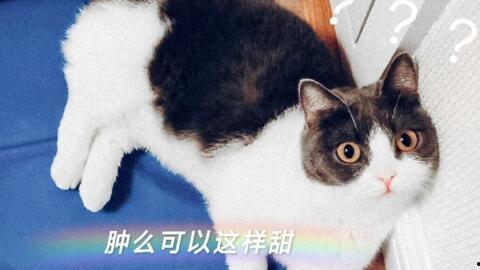 娱乐圈cp小说吃瓜,揭秘那些隐藏在吃瓜背后的CP真相