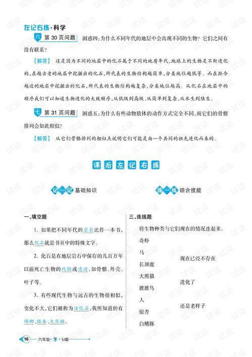 娱乐吃瓜版米苏,揭秘娱乐圈背后的那些事儿  第2张