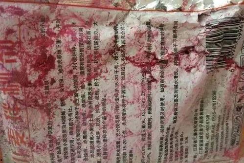 娱乐吃瓜君二豆,揭秘娱乐圈那些不为人知的幕后故事 第2张 娱乐吃瓜君二豆,揭秘娱乐圈那些不为人知的幕后故事 第2张