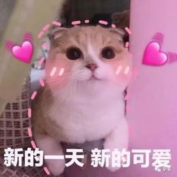 羊了个羊娱乐吃瓜,娱乐吃瓜,揭秘网络爆款游戏背后的故事 第2张 羊了个羊娱乐吃瓜,娱乐吃瓜,揭秘网络爆款游戏背后的故事 第2张