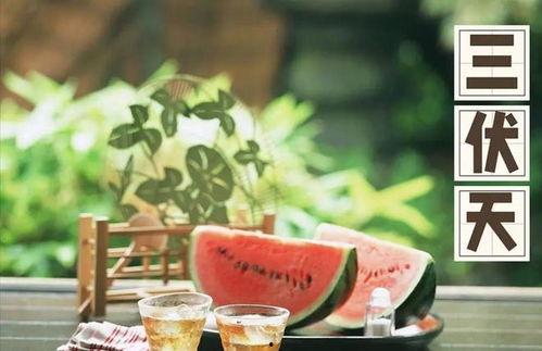 娱乐吃瓜健康养生小说,娱乐、吃瓜与身心健康的小说之旅  第2张