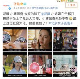 吃瓜猪娱乐视频,揭秘娱乐圈幕后故事  第3张