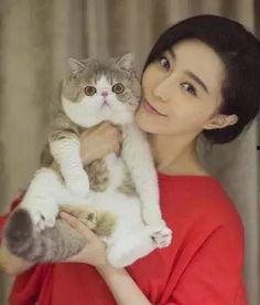 吃瓜少女猫娱乐,揭秘娱乐圈幕后故事  第3张