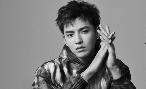 吃瓜娱乐圈男明星是谁啊,揭秘“吃瓜娱乐圈男明星”之谜  第2张