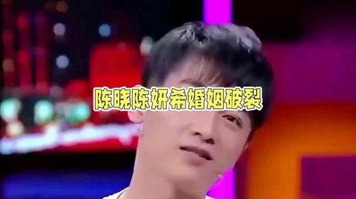 娱乐吃瓜酱婚姻,揭秘明星婚姻背后的真相与八卦  第3张