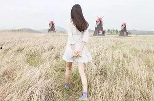 娱乐吃瓜酱背影,背后的故事与魅力  第3张