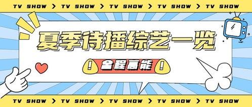 娱乐吃瓜营公众号,吃瓜营带你探秘明星生活点滴  第2张