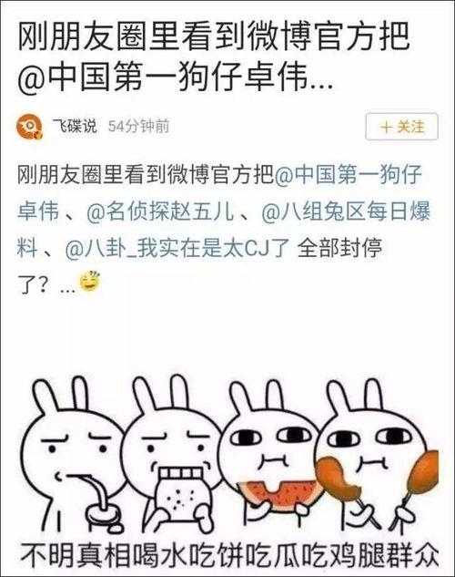 娱乐吃瓜酱名言大全,揭秘娱乐圈那些鲜为人知的幕后真相  第2张