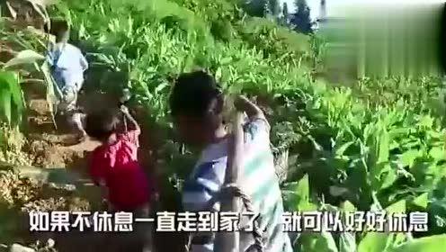 情人节娱乐吃瓜视频,明星情侣甜蜜瞬间大揭秘  第3张