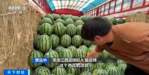 娱乐吃瓜香,吃瓜香背后的精彩故事  第3张
