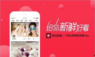 娱乐吃瓜酱视频边框,揭秘热门视频边框背后的故事  第2张