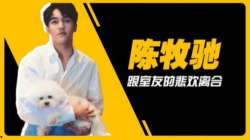 吴楚一娱乐圈吃瓜,揭秘明星背后的“吃瓜”故事  第3张