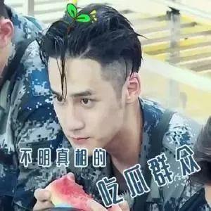 娱乐吃瓜网名男生,揭秘男明星们的瓜田秘事  第3张