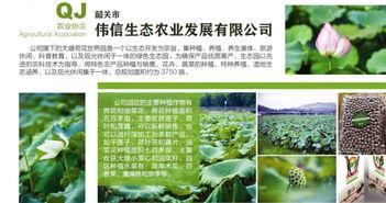 娱乐吃瓜的宣传策略,吃瓜群众必看的幕后大戏! 第3张 娱乐吃瓜的宣传策略,吃瓜群众必看的幕后大戏! 第3张