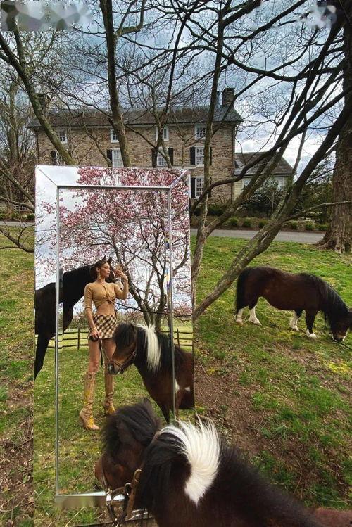 喂驴打一嘴巴子吃瓜娱乐,一场意外的网络狂欢 第3张 喂驴打一嘴巴子吃瓜娱乐,一场意外的网络狂欢 第3张