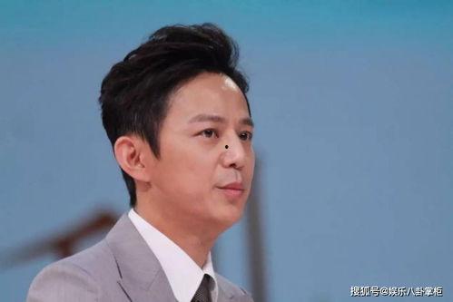 八卦娱乐圈吃瓜群众是谁,揭秘“吃瓜群众”背后的神秘人物  第3张