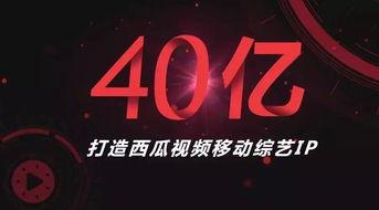 娱乐吃瓜字幕怎么制作,如何制作娱乐吃瓜字幕  第3张