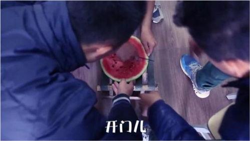 吃瓜娱乐奇葩视频,笑料百出！盘点那些让人捧腹大笑的吃瓜娱乐奇葩视频  第2张