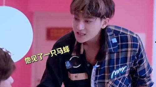 鹿晗娱乐吃瓜是真的吗 第3张 鹿晗娱乐吃瓜是真的吗 第3张