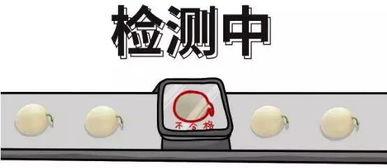 娱乐吃瓜酱几何问题,揭秘那些令人捧腹的几何趣事  第2张