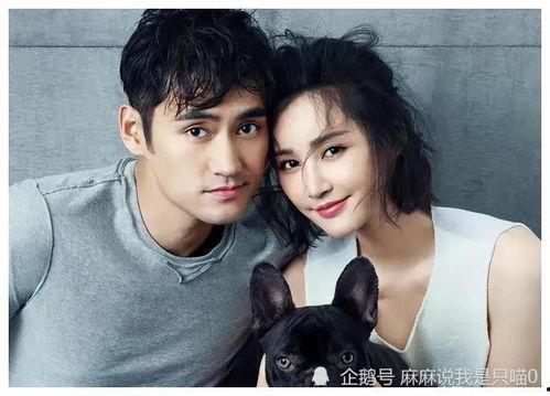 黑红小花在娱乐圈吃瓜,黑红小花吃瓜大揭秘 第2张 黑红小花在娱乐圈吃瓜,黑红小花吃瓜大揭秘 第2张